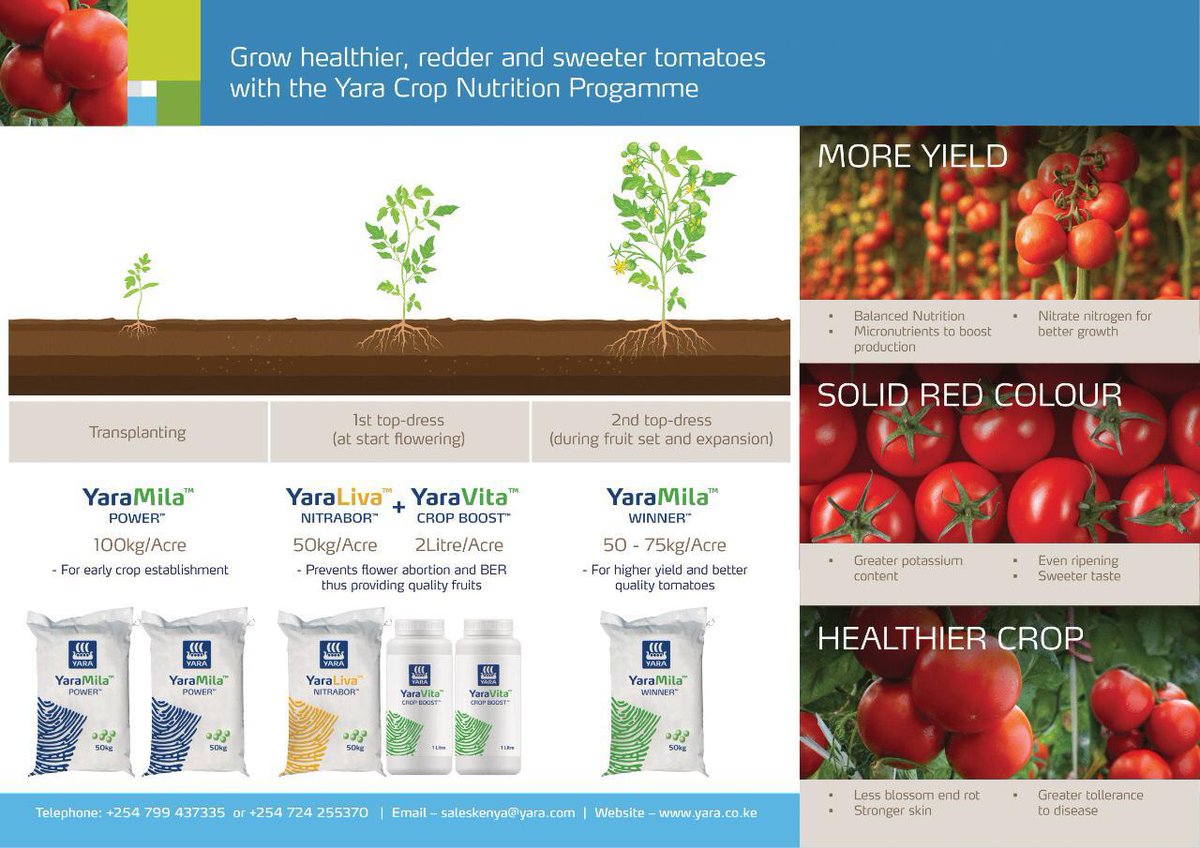 Samuel Murono Namale (@namalesam) on Twitter photo Best Tomato crop nutrition program on the land!
<a href="/rodgers_kirwa/">Mr. Agriculture 👩🌾</a> <a href="/AmandaNamayi/">Amanda 🌾🍃</a> <a href="/Billngeno/">William Ngeno</a> @SeruyaFarm <a href="/YaraKenya/">YaraKenya</a> Best Tomato crop nutrition program on the land!
<a href="/rodgers_kirwa/">Mr. Agriculture 👩🌾</a> <a href="/AmandaNamayi/">Amanda 🌾🍃</a> <a href="/Billngeno/">William Ngeno</a> @SeruyaFarm <a href="/YaraKenya/">YaraKenya</a>