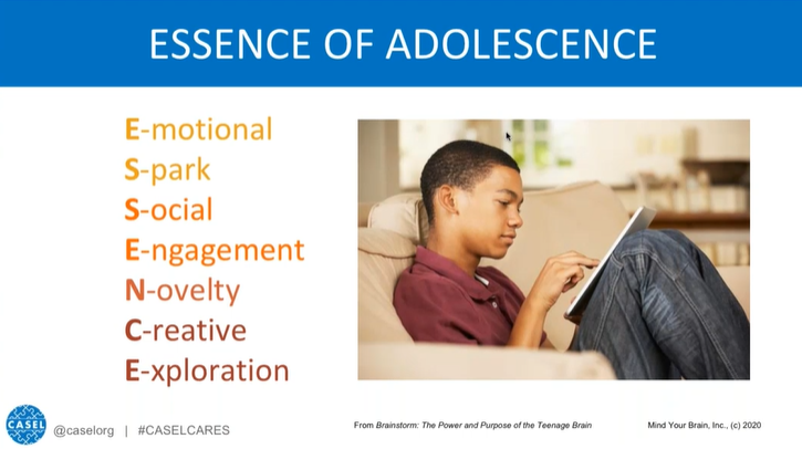 what is adolescence