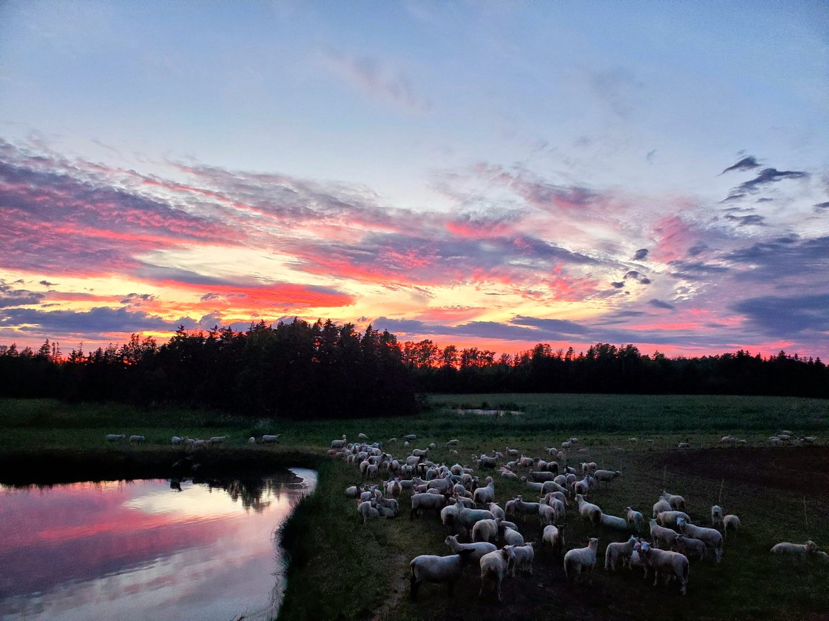 bowly6's tweet photo. @AgMoreThanEver Tracadie, Nova Scotia https://t.co/bWJoACg2rh