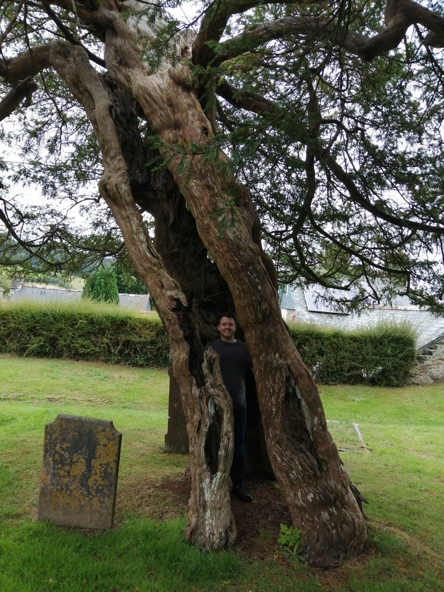 Alex Lowe tweet media