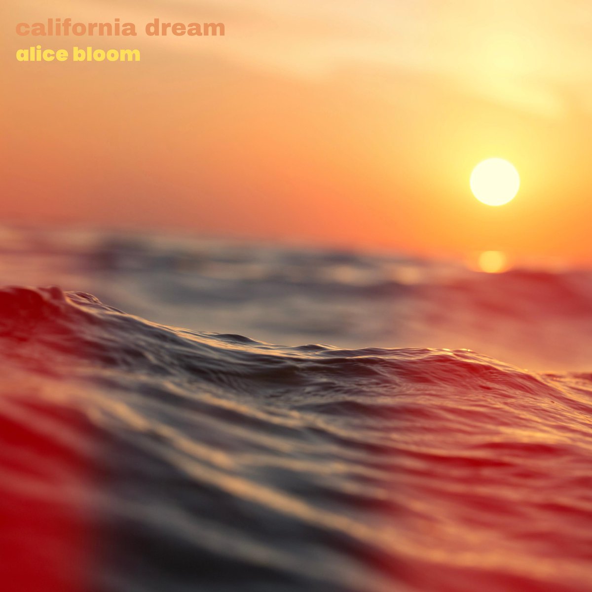 And California Dream is live on Spotify (& all platforms)! ☀️ #newmusicfriday #alicebloom #californiadream #singlerelease #chillmusic #indiemusic #alicebloommusic #indiepopmusic #bedroompop #beachmusic #weekendvibes #altmusic #lamusic #newartist #spotifysingle #spotify