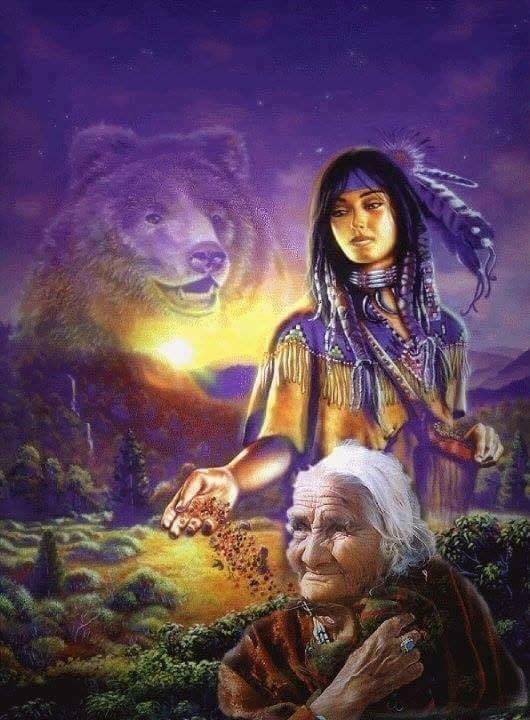 Idigenous people tweet media