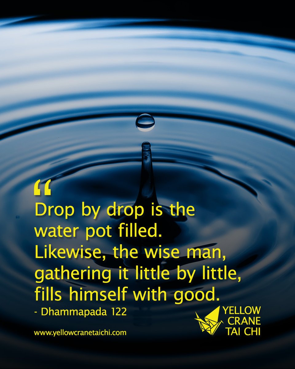 yellowcranetcc's tweet photo. It takes many drops to fill the whole pot. https://t.co/pSOw63hmu0