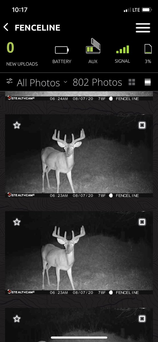 Live_Americana's tweet photo. Looking good!  Taken with Stealthcam Fusion camera and upload to Stealthcam command app.  #deerhunting #stealthcam https://t.co/3ceSqmUWZ5