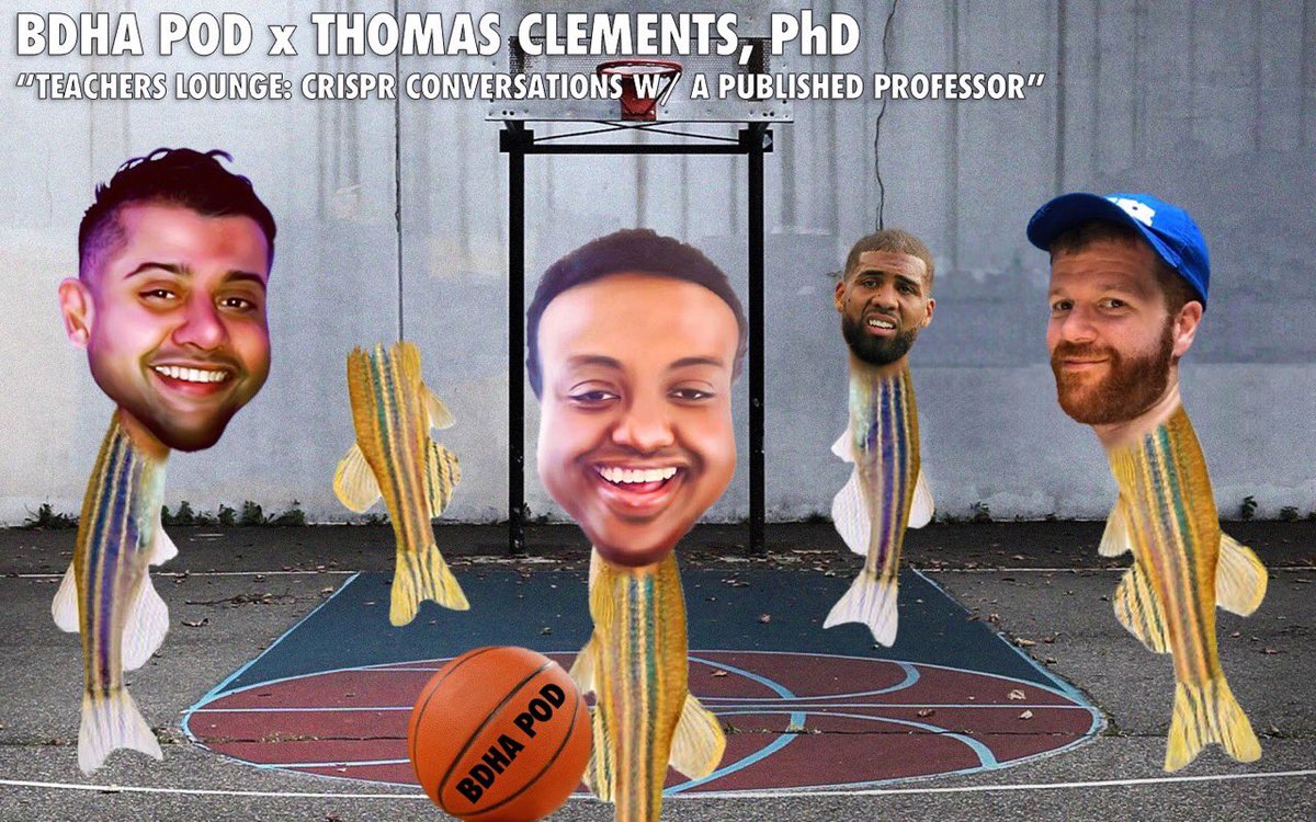 BigDumbHeadX's tweet photo. “BDHA Pod X Thomas Clements, Ph.D Teachers Lounge: CRISPR Conversations w/ A Published Professor’” OUT NOW‼️

On this episode we were joined by Vanderbilt University Professor @Science_Baller. We picked his 🧠 on COVID19 and much more!

https://t.co/sHGXWrkrq2

#bdhapod #podcasts https://t.co/dWcOHOBNWq