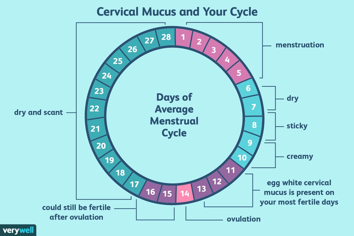 menstruation happens for however many days. if you don’t have a regular cycle, you can ignore the days. go off of your days. menstruation is the bleeding days. track each day you’re bleeding. towards the end, you’ll probably be more brown.