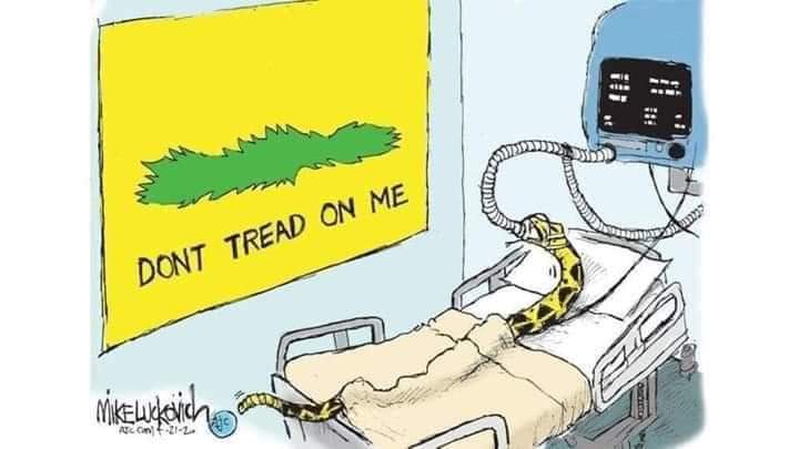 CajPaLa's tweet image. Which is your favorite? 

Heres most of my "no step on snek" collection. Feel free to drop a new one below.