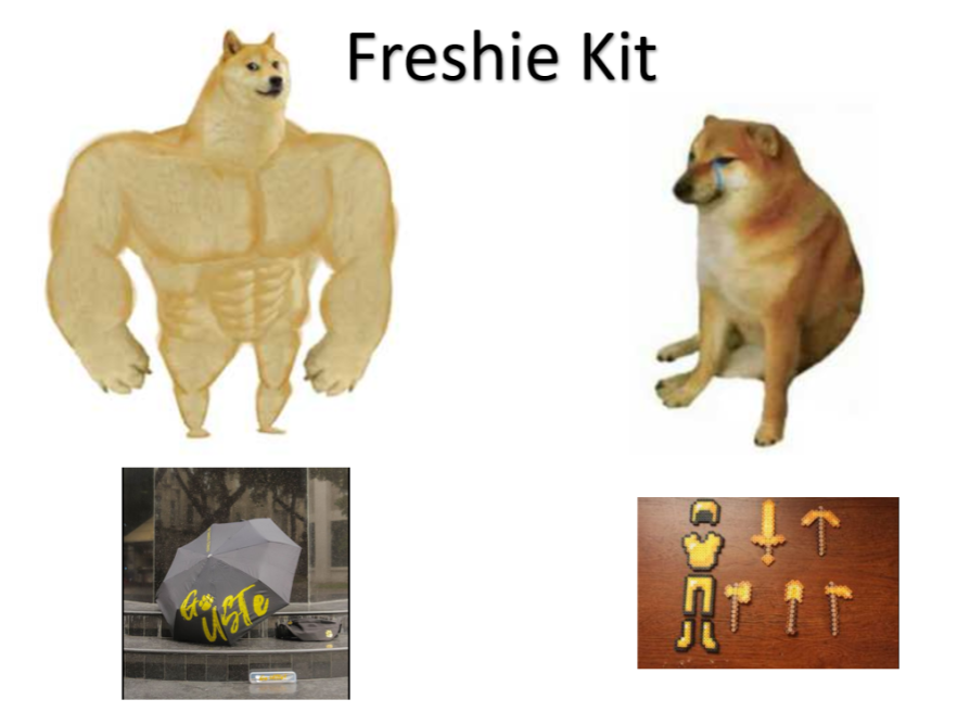 minecraft_ust's tweet photo. Freshie Kit? π
#GoUSTeMC https://t.co/ENG40OOTl3