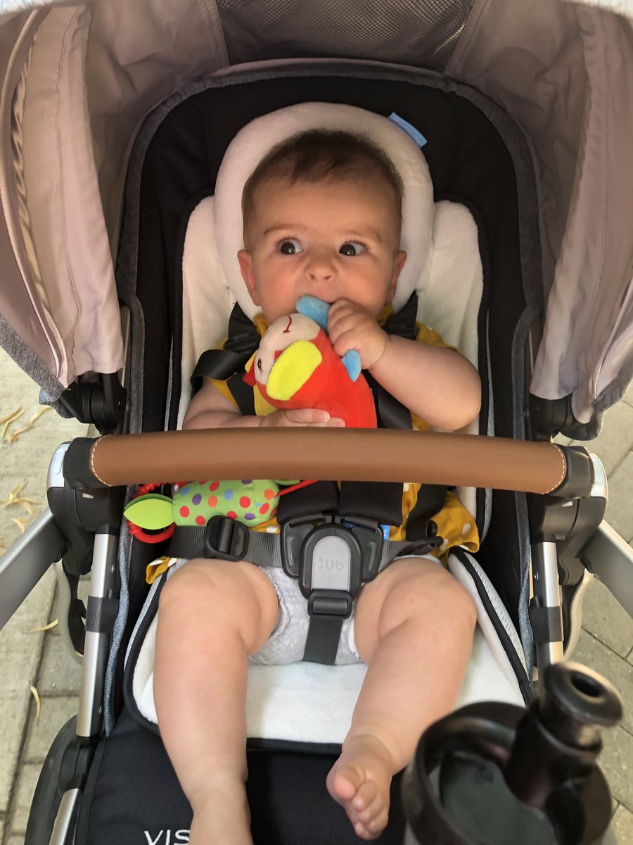 DelaneyRitsema's tweet photo. I started nannying 3 weeks ago, and my camera roll is already full of pictures of her. Good thing she’s a cutie 🥺❤️ https://t.co/r2rV3X2dHI
