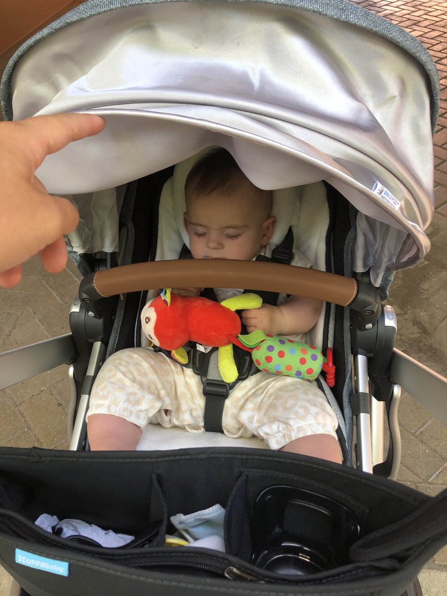 DelaneyRitsema's tweet photo. I started nannying 3 weeks ago, and my camera roll is already full of pictures of her. Good thing she’s a cutie 🥺❤️ https://t.co/r2rV3X2dHI