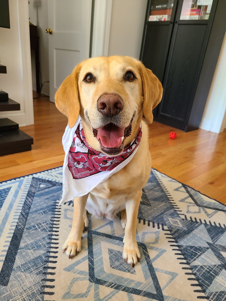 Mr. Fischer tweet media