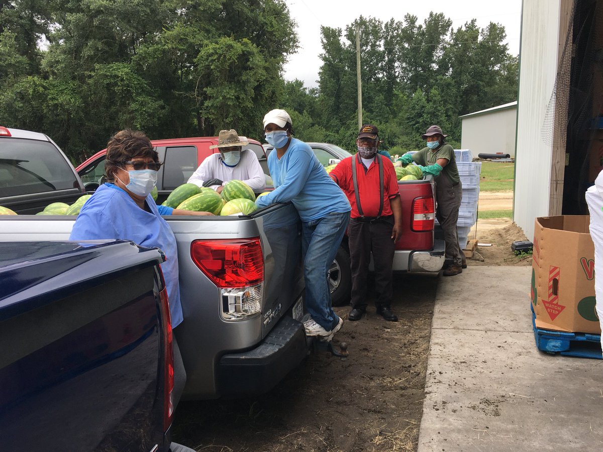 societystandrew's tweet photo. melons and sweet corn!  What says summer more than that!  1880 lbs of sweet corn and 7974 lbs of watermelon rescued and shared with our neighbors in need!  Thankful to be able to provide! #EndHunger #Friday #zerowaste #CovidCantStopGood #COVID19 #volunteer https://t.co/RAsslO2orU