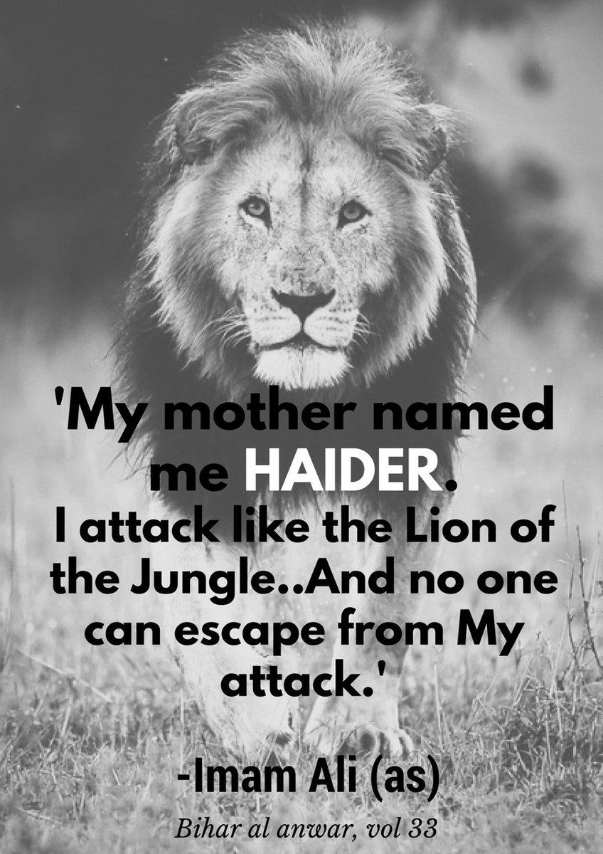 daaxood's tweet photo. My mother named me #Haidar.
I attack like the lion of the jungle.And no one can escape from my attack.
#LiveLikeAli https://t.co/5SJQhPQFgR