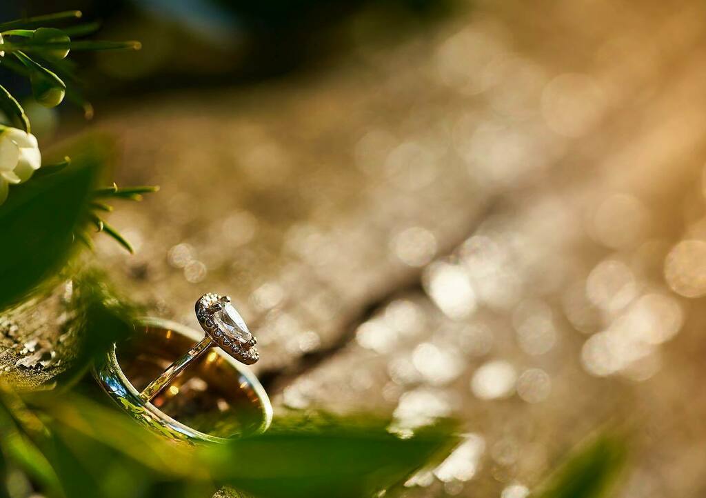 perry_wes's tweet image. Doin ma bling thing. #weddingbling .
This is wedged in a crack in an old grey log. Which just happened to be a bit shiny in the setting sun.
.
.
.
#weddings #weddingring #engagementring #bling #shimmer #shine #weddingday #details #macro #macrophotography… instagr.am/p/CDmJzcOp4hx/