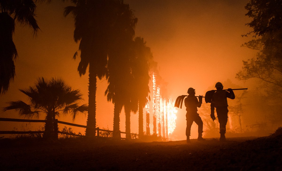 TheSmokeyGeneration tweet media