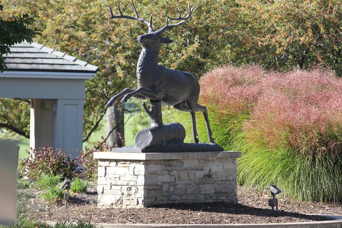 SAUBEES's tweet photo. 𝐅𝐚𝐜𝐢𝐥𝐢𝐭𝐲 𝐅𝐫𝐢𝐝𝐚𝐲 - @TPCDeereRun &amp; Emeis Golf Course

Deere Run:
🔵home to the @JDCLASSIC
🔵6 time host of the NAIA Golf Championship
🔵future Championship host in '21 - '24

Emeis:
🔵close to campus
🔵primary home course

➡️https://t.co/yDlXUTQ0st

#BringTheSting 🐝 https://t.co/6Pj0HxQtAG