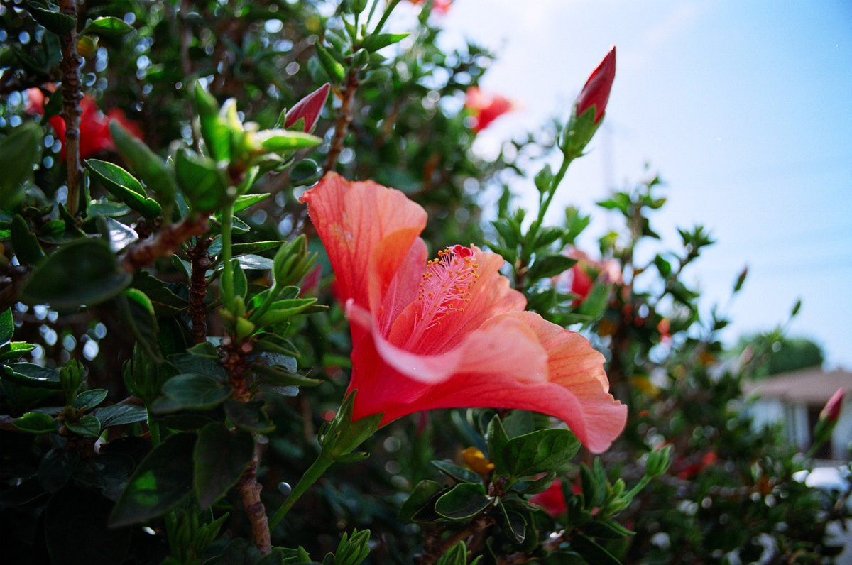 VisualPariah's tweet image. Stickers dropping next week!