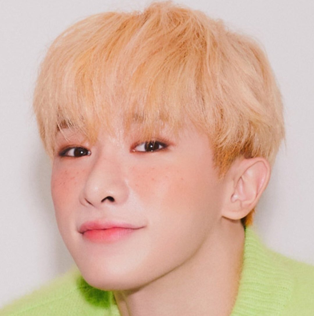 a thread of me just talking about wonho's cheeks