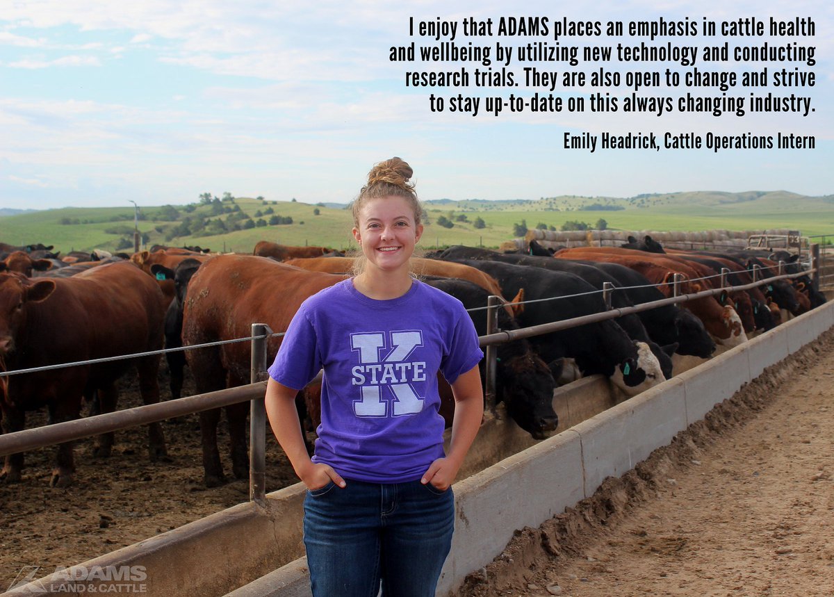 AdamsCattle's tweet photo. Meet one of our #ADAMSInterns...Emily Headrick from @KState! Emily has had the opportunity to work in many aspects of operations, including Cattle Health, Processing, and Feeding. Take a look at what she enjoys most about her #internship. https://t.co/3yOaALMTy6