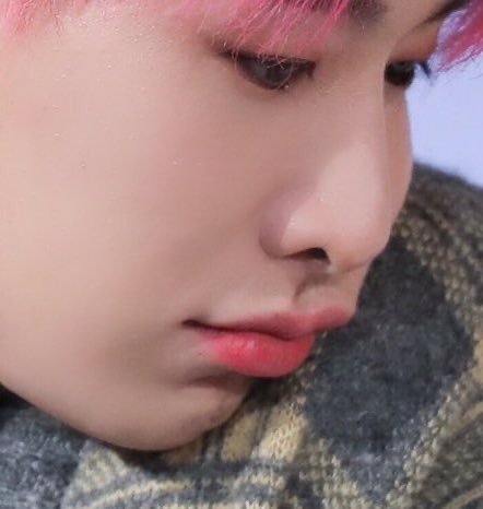 a thread of me just talking about wonho's cheeks