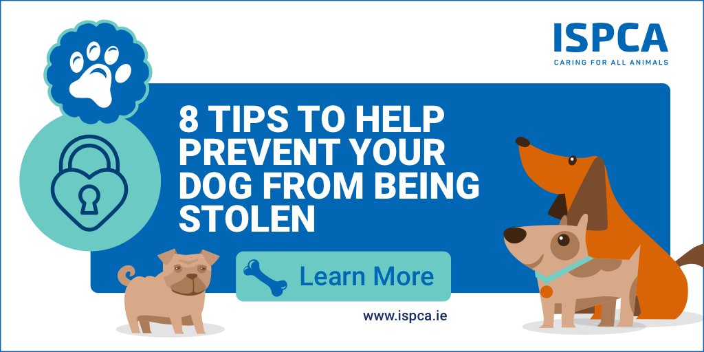 Ispca Ispca1 Twitter