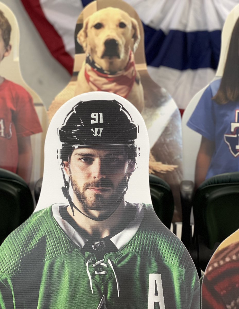 𝚃𝚎𝚡𝚊𝚜:  @DallasStars and a Yellow Lab