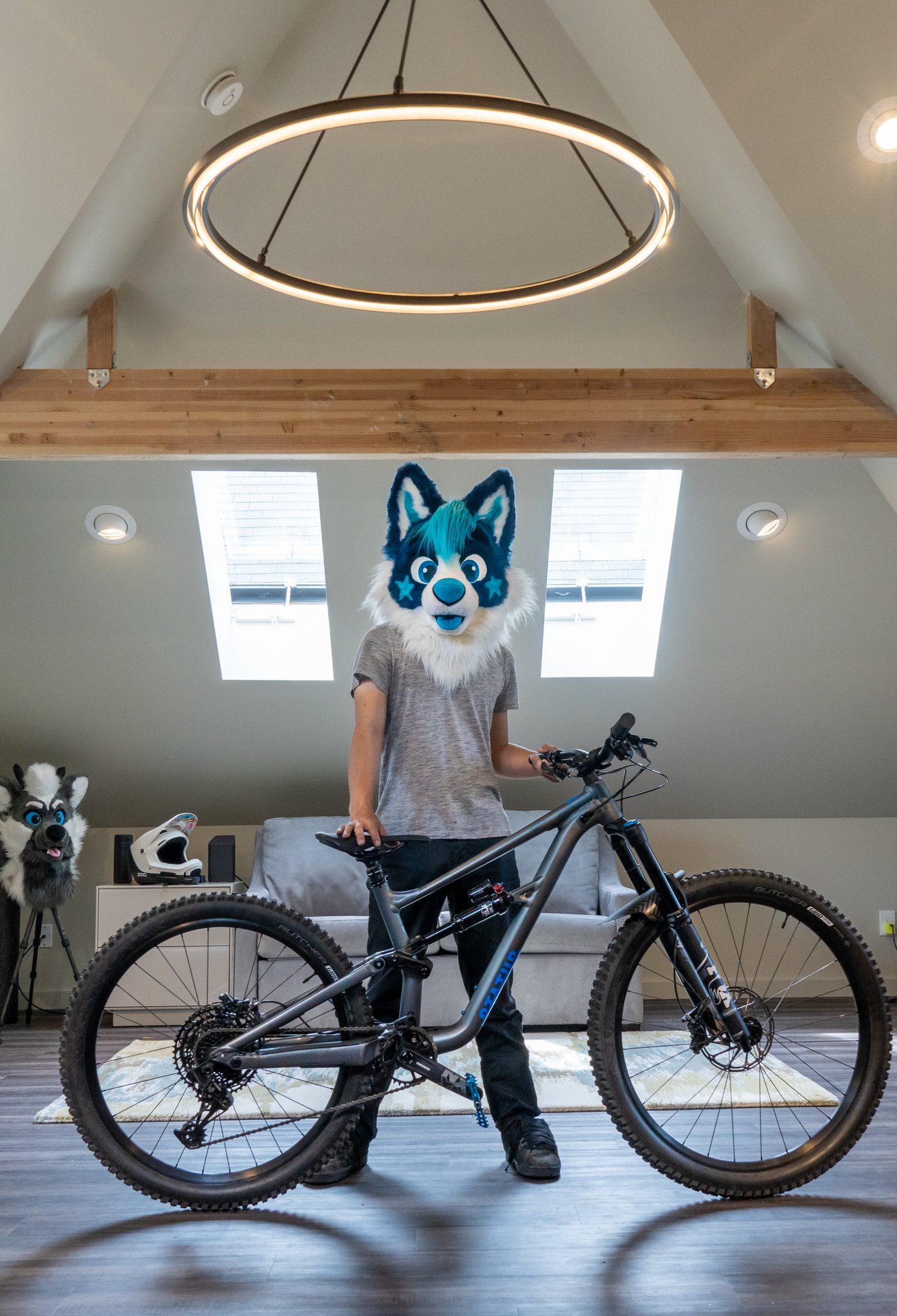 NovaFluffyHusky MFF on X New Bike this FursuitFriday ZillionRoss DontHugCacti statusmtb specializedstatus https t oTCDKxqHqx X