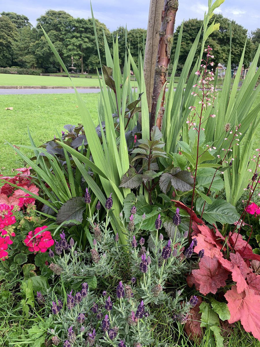 Together4Angels's tweet photo. To watch something grow from a piece of grass to our garden gives us so much pride #Together4Angels #ourgarden #heywood #babyloss https://t.co/81exUIzbQY
