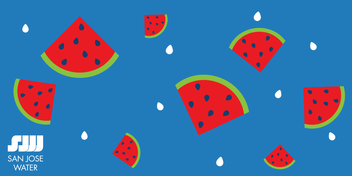 sjwaterco's tweet photo. #DYK that watermelons are 92% water, and are considered both a fruit AND a vegetable? Consider that the next time you enjoy this refreshing treat! 🍉💦😎 Find more fun #watermelonfacts at https://t.co/V4jzkYDdIt https://t.co/RPBmbfFVmZ