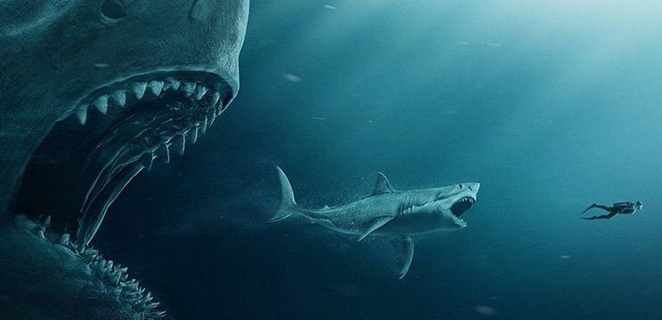 Carcharocles Megalodon,A thread.