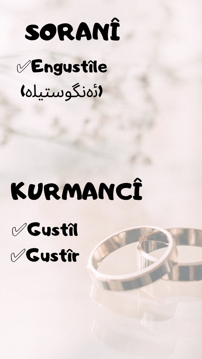soranagir's tweet photo. #soranî
#kurmancî

Gustîl bi kurmancî ye
Engustîle  bi soranî ye.

#herşevpeyvek https://t.co/GZnGDmLkVC