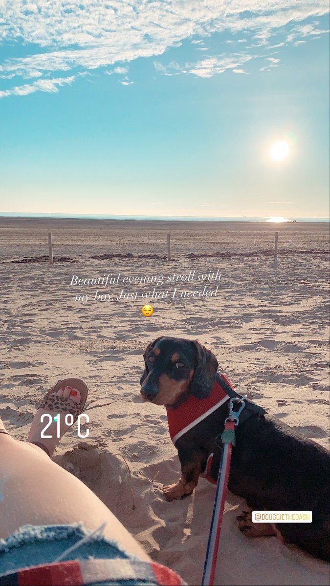 RacheLaura159's tweet photo. Hooray for The weekend and living next to the beach 😌 #headsmashed #traineeamhp #nearlythere https://t.co/F6fdRv5JpT