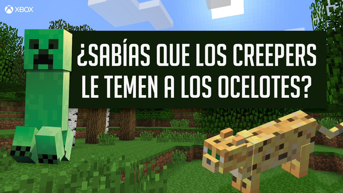 XBOXMexico's tweet photo. Si quieres aprender más del mundo #Minecraft, únete a esta comunidad: https://t.co/hBr3lS937I https://t.co/GdYSO1O48f