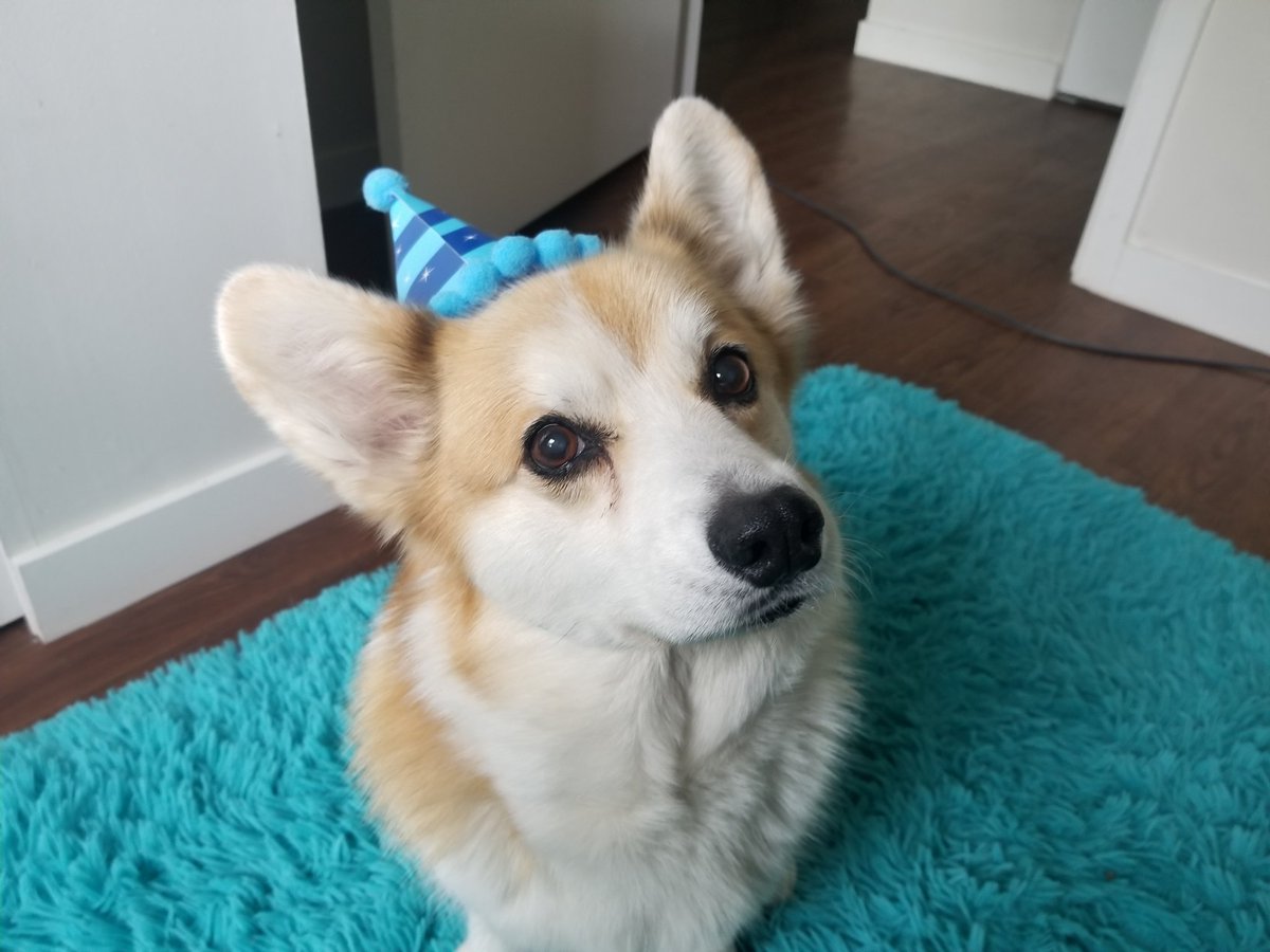 Happy birthday Charles! You're 11 and sweet as ever.