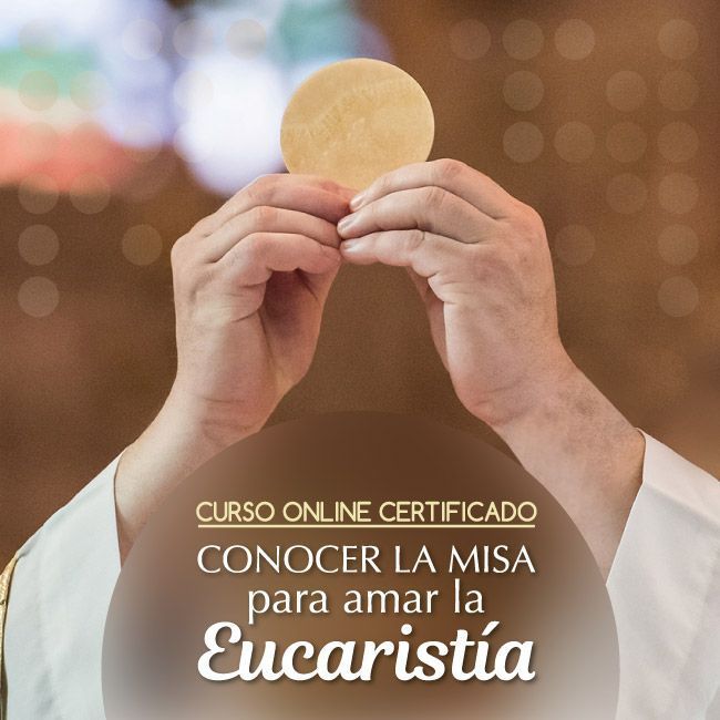 catholiclink_es's tweet photo. ✨ Muchas veces pensamos que la misa es aburrida y monótona, pero es que en realidad no entendemos todos los milagros que suceden frente a nosotros. 

✨ Por eso, hemos preparado un curso genial para conocer los frutos que la Eucaristía trae para tu vida: https://t.co/tWQsGr55JO https://t.co/2MfWAUe6ul