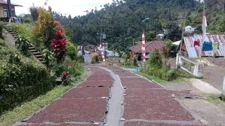 Daera saya lagi musim panen cengkeh cuy...
Cara jemurnya kayak gini???

Coba tebak kendaraannya lewat mana????