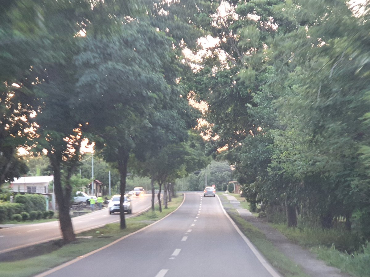 Ojalá todas las calles de Chitré estuvieran llenas de árboles como lo está la avenida Dr. Arnulfo Escalona Ríos, mejor conocida como la Circunvalación Interna.