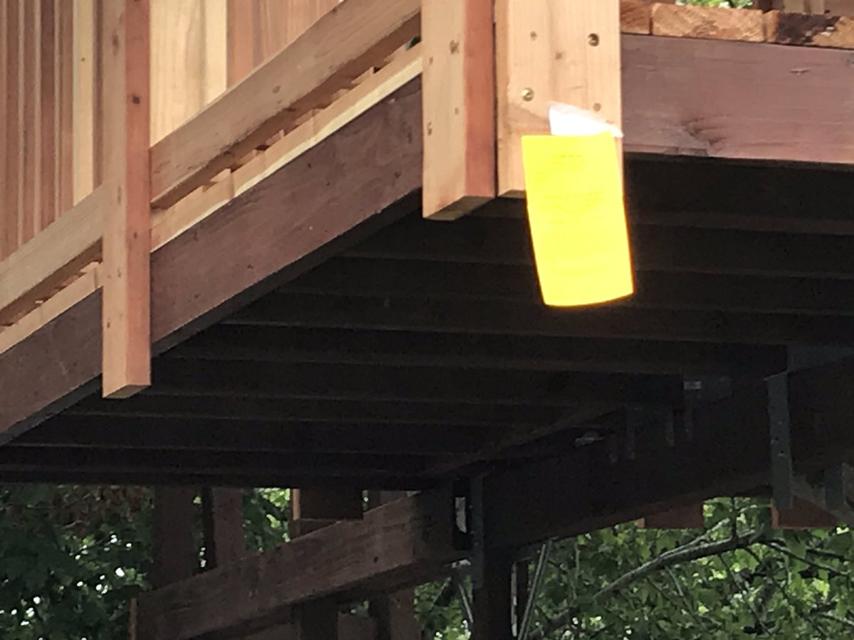 KSBWPhil's tweet photo. The Bramlett family #treehouse in #Capitola could get the ax. Someone complained &amp; the city #redtagged it. The treehouse was built during shelter in place to give the kids some fun &amp; parents something to do https://t.co/sCtG86cvEx