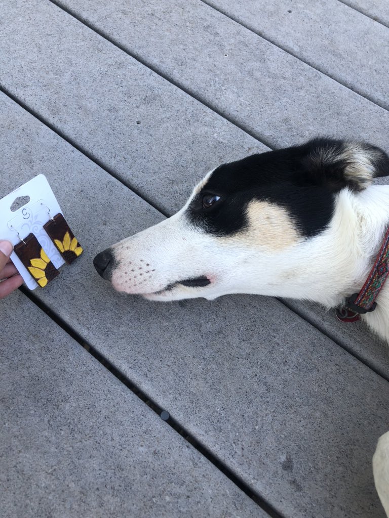 RockingCLeather's tweet photo. Soda approves of these Sunflower earrings 🌻 https://t.co/DsKp6h460z
