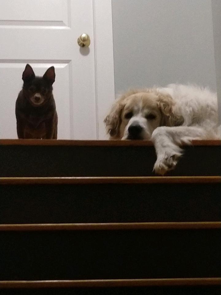 I really miss to hear from family ,hello Patti Jo