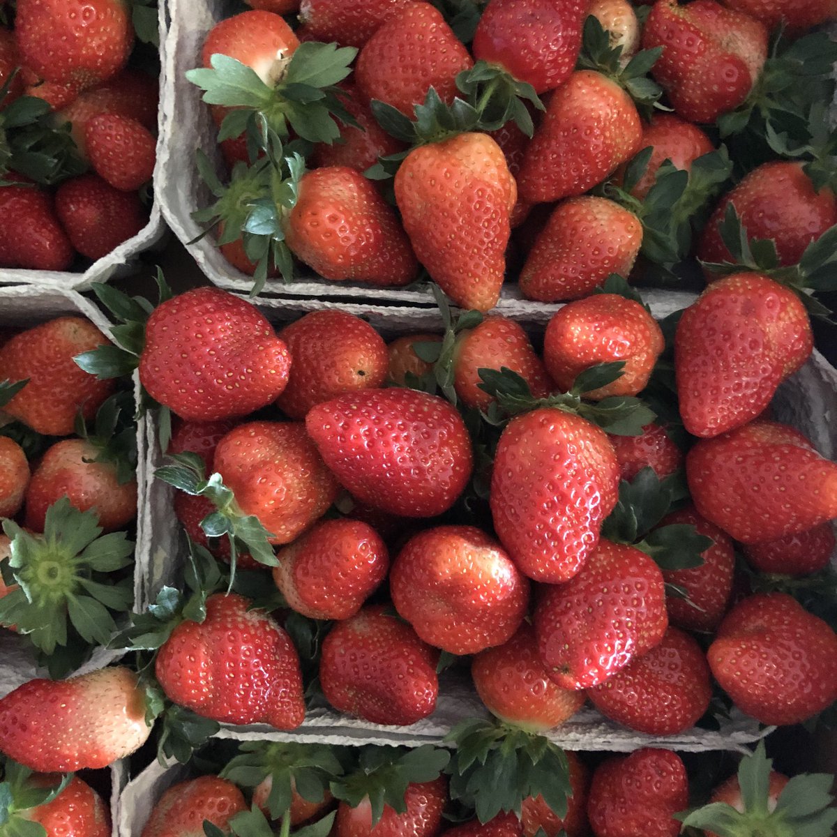 s_rhubarb's tweet photo. Jam day and delivery complete💕
Thank you so much to @ClonannyFarm for stocking our jam
Strawberries are from Bernard Murray, literally up the road from us💕
@ProperFood_ie
#ryansrhubarb
#rhubarb
#jam
#jamjoy
#smallbatches https://t.co/hzaioEpLHE