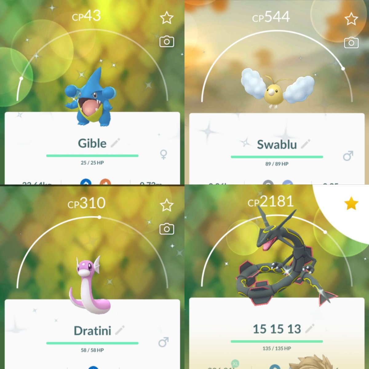 RuiMiguelPOGO's tweet photo. Dragon's Week is over. Did exactly 200 Ray Raids. Not the best results but I still managed to get some shinys 😁 Let's pray on the Lucky Trades 🤞

- 200 ⚔
- 10 ✨
- 0 💯
- 4 wild ✨

How was your week? Did you ever seen Deino 👀?

#DragonWeek2020
#PokemonGOraid https://t.co/JWr28bRdHX