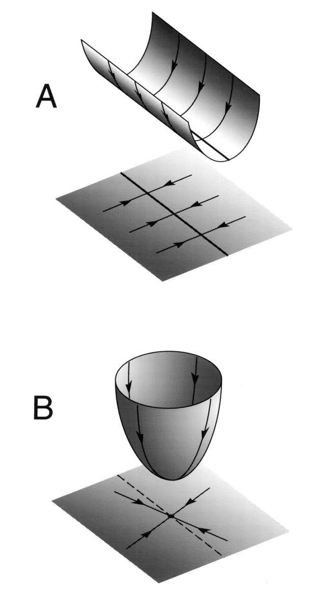 2/n) Stability in neuroscience is usually defined with respect to objects in state space, e.g lines (A) or points (B). Neural trajectories are attracted towards these objects, even in the face of small perturbations--hence, stable. Fig from Seung, 1996  https://www.pnas.org/content/93/23/13339