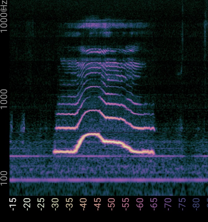 ChuckleScience's tweet photo. Lo espectral es visible a los ojos...
#desafioespectral #PopularizaciónDesdeCasa

¿Qué podés dibujar con la voz?
https://t.co/HB3ArTJhQ7 https://t.co/KJR8MRYMlE