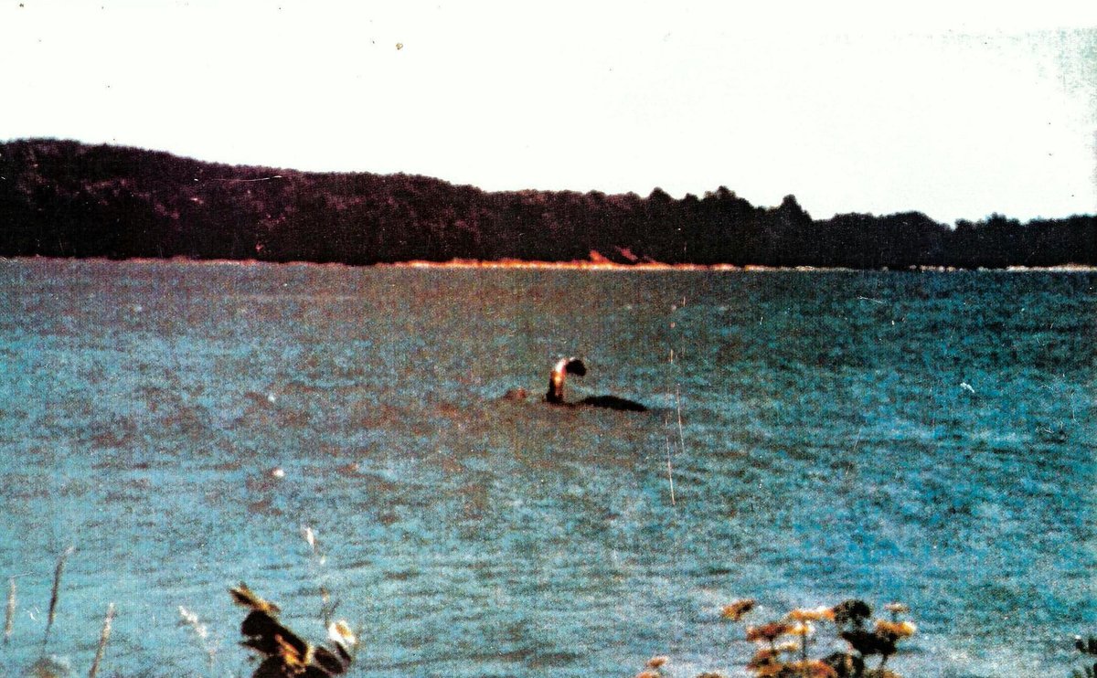 Hello! It’s time to look at the very complex backstory to ANOTHER famous  #monster photo (ask me if you need links to my monster threads). This time we’re looking at the Sandra Mansi  #LakeChamplain photo of July 1977, the world’s ‘best’ lake monster photo. MEGA-THREAD follows….