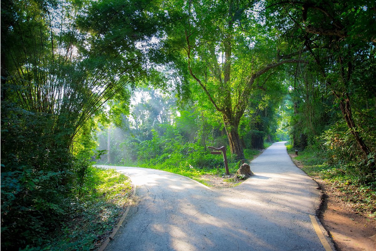 The Bert Hellinger Institute Netherlands and Jan Jacob Stam will continue side by side.
As per September 1st, 2020, the Bert Hellinger Institute Netherlands (BHIN), will continue with owners Bibi Schreuder and Barbara Hoogenboom at the helm. 

mailchi.mp/hellingerinsti…