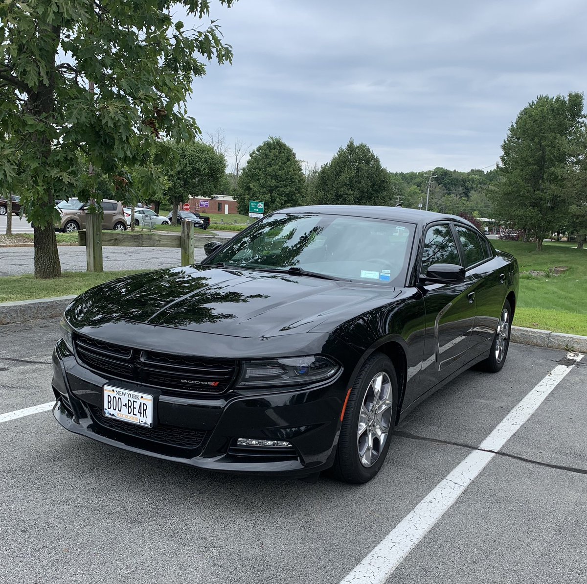 BooBearSnugs's tweet photo. New Plates and a Fresh Wash. 😏 #MeanAF #Dodge #Charger https://t.co/kzj3AjSfOZ