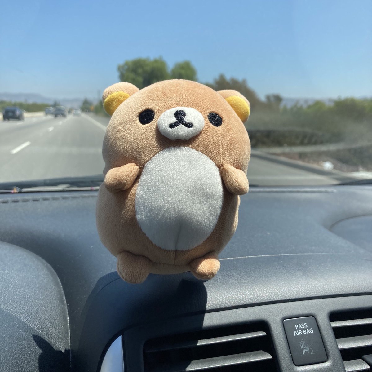Rilakkumamemes's tweet photo. I found a new use for the phone holder in my car https://t.co/mo7L6Pw1OX