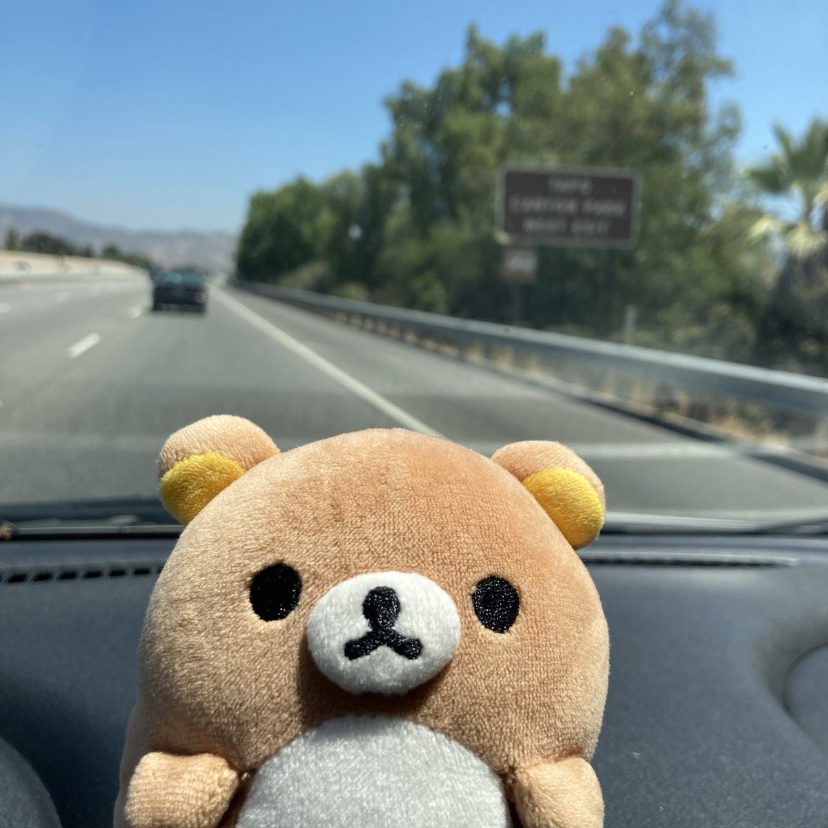 Rilakkumamemes's tweet photo. I found a new use for the phone holder in my car https://t.co/mo7L6Pw1OX