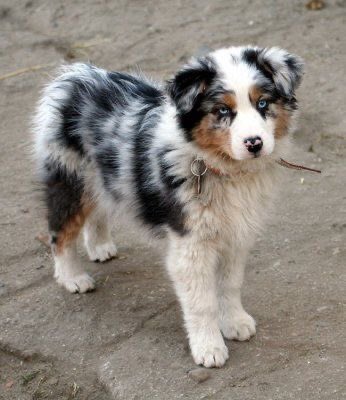 norrrwa's tweet photo. Простите, но I’m fall in love https://t.co/xx2RDYSlps